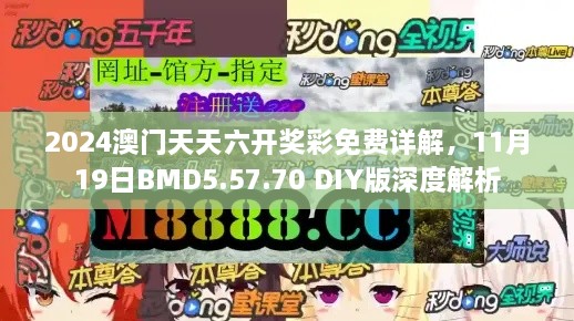 2024澳门天天六开奖彩免费详解，11月19日BMD5.57.70 DIY版深度解析