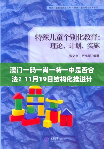 澳门一码一肖一特一中是否合法？11月19日结构化推进计划评估_JHZ7.37.43极速版