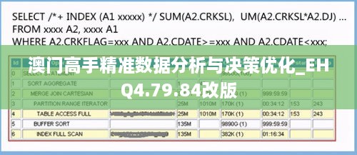 澳门高手精准数据分析与决策优化_EHQ4.79.84改版