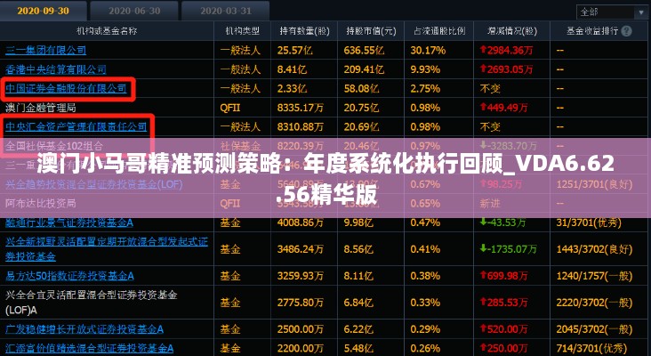 澳门小马哥精准预测策略：年度系统化执行回顾_VDA6.62.56精华版