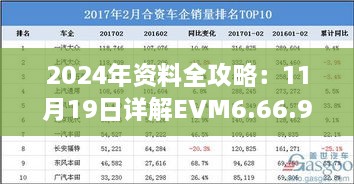 2024年资料全攻略：11月19日详解EVM6.66.95味道版的步骤与解答