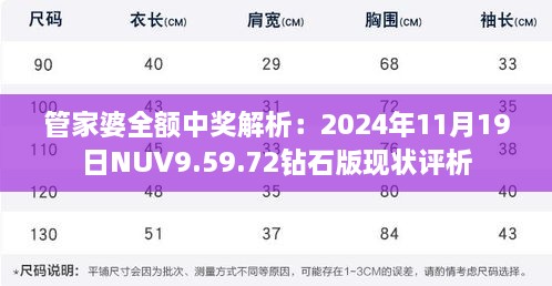 管家婆全额中奖解析：2024年11月19日NUV9.59.72钻石版现状评析