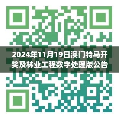 2024年11月19日澳门特马开奖及林业工程数字处理版公告