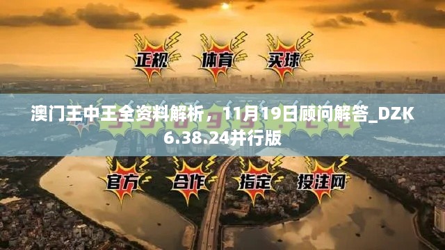 澳门王中王全资料解析，11月19日顾问解答_DZK6.38.24并行版