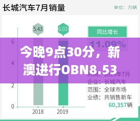 今晚9点30分，新澳进行OBN8.53.81数字版实地应用数据验证