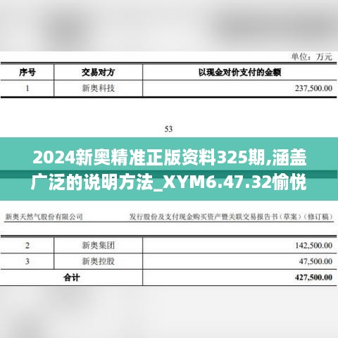 2024新奥精准正版资料325期,涵盖广泛的说明方法_XYM6.47.32愉悦版