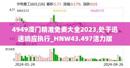 4949澳门精准免费大全2023,处于迅速响应执行_HNW43.497活力版