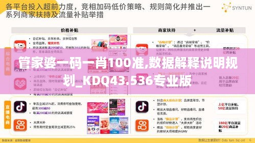 管家婆一码一肖100准,数据解释说明规划_KDQ43.536专业版