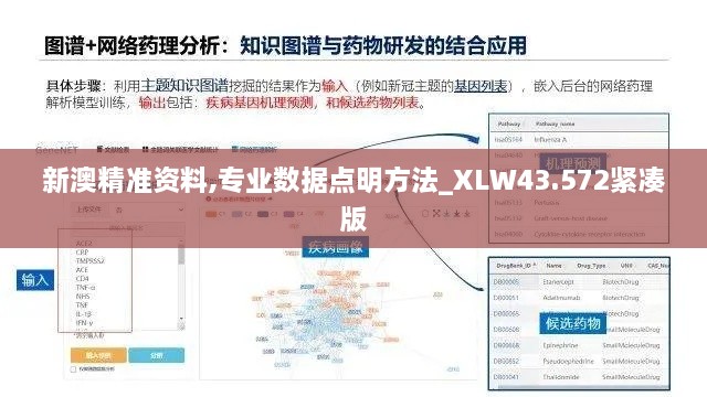 新澳精准资料,专业数据点明方法_XLW43.572紧凑版