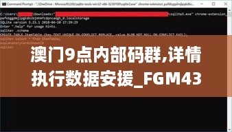 澳门9点内部码群,详情执行数据安援_FGM43.408影音版