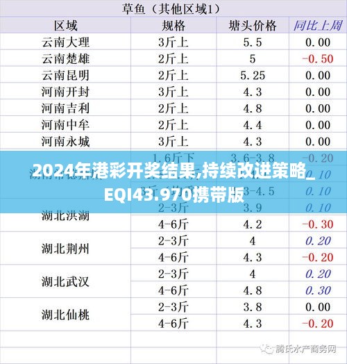 2024年港彩开奖结果,持续改进策略_EQI43.970携带版