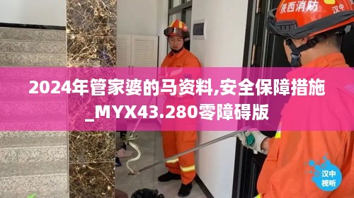 2024年管家婆的马资料,安全保障措施_MYX43.280零障碍版