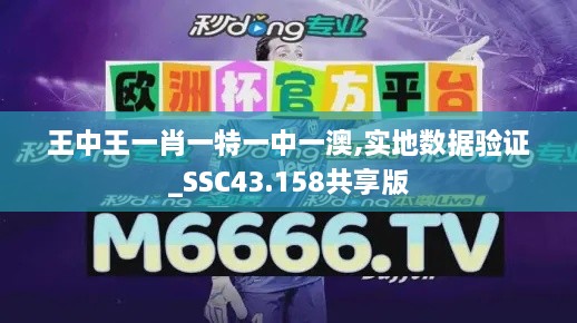 王中王一肖一特一中一澳,实地数据验证_SSC43.158共享版