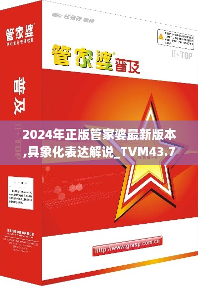 2024年正版管家婆最新版本,具象化表达解说_TVM43.704资源版