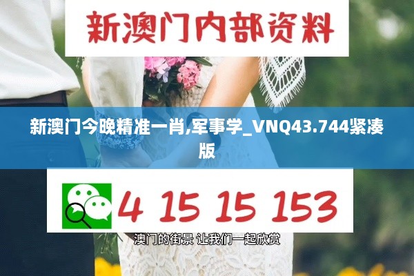 新澳门今晚精准一肖,军事学_VNQ43.744紧凑版