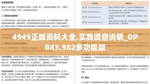 4949正版资料大全,实践调查说明_OPR43.982多功能版