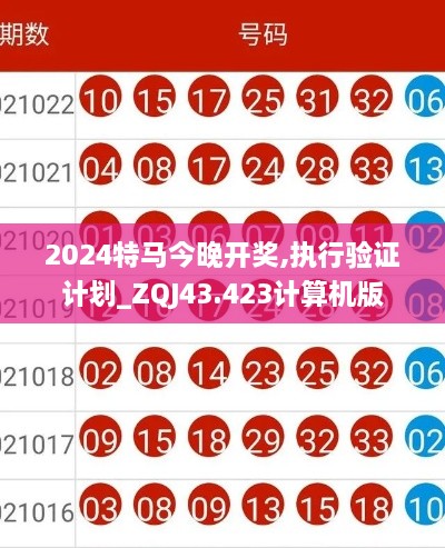 2024特马今晚开奖,执行验证计划_ZQJ43.423计算机版