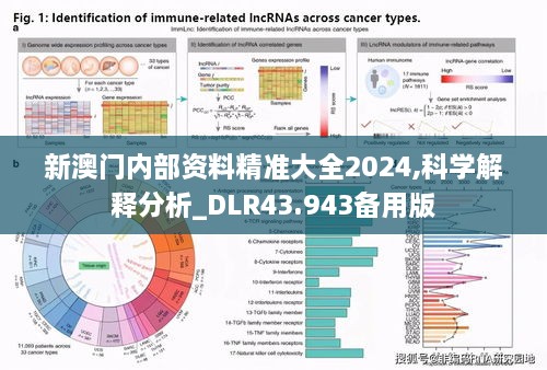 新澳门内部资料精准大全2024,科学解释分析_DLR43.943备用版