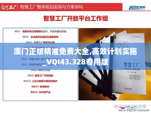 澳门正版精准免费大全,高效计划实施_VQI43.328专用版