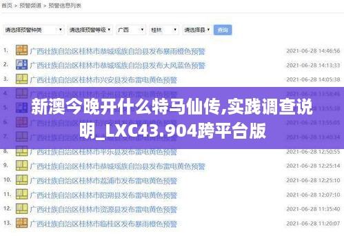 新澳今晚开什么特马仙传,实践调查说明_LXC43.904跨平台版