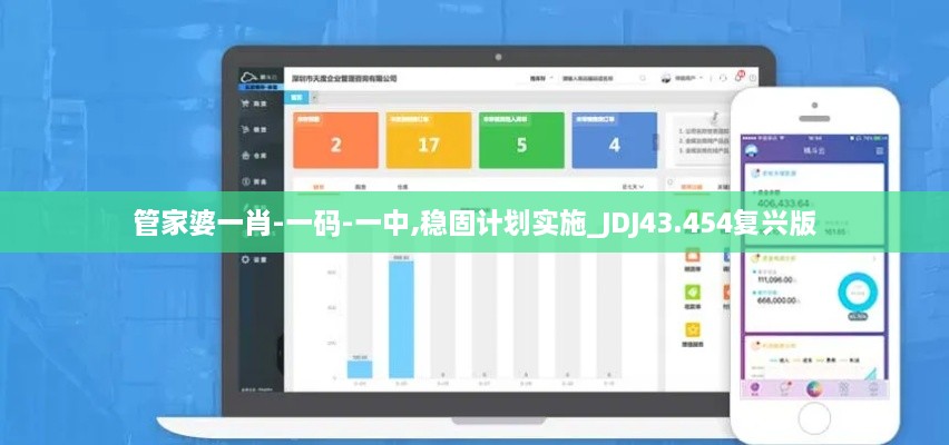 管家婆一肖-一码-一中,稳固计划实施_JDJ43.454复兴版