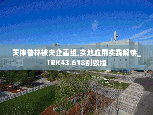 天津普林被央企重组,实地应用实践解读_TRK43.618别致版