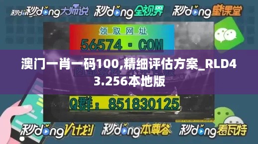 澳门一肖一码100,精细评估方案_RLD43.256本地版