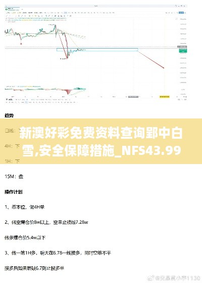 新澳好彩免费资料查询郢中白雪,安全保障措施_NFS43.991透明版