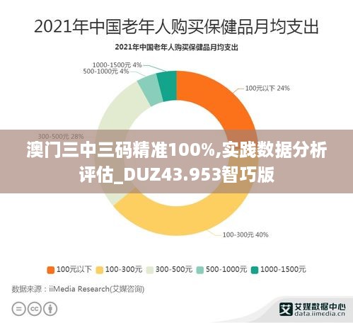 澳门三中三码精准100%,实践数据分析评估_DUZ43.953智巧版