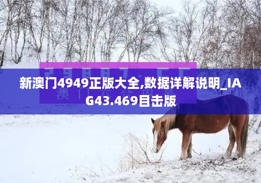 新澳门4949正版大全,数据详解说明_IAG43.469目击版