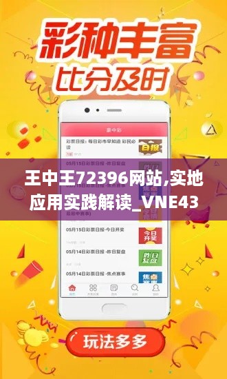 王中王72396网站,实地应用实践解读_VNE43.457性能版