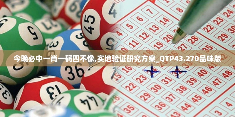 今晚必中一肖一码四不像,实地验证研究方案_QTP43.270品味版