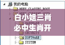 白小姐三肖必中生肖开奖号码刘佰,全面预算的解答题_VYL43.614智慧共享版