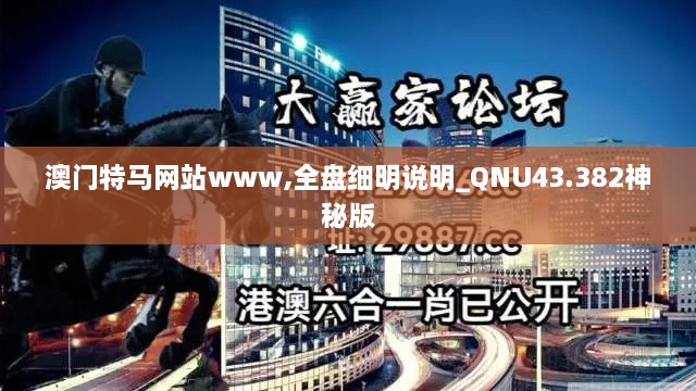 澳门特马网站www,全盘细明说明_QNU43.382神秘版