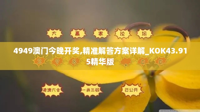 4949澳门今晚开奖,精准解答方案详解_KOK43.915精华版