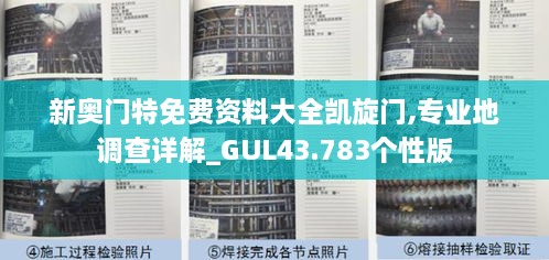 新奥门特免费资料大全凯旋门,专业地调查详解_GUL43.783个性版