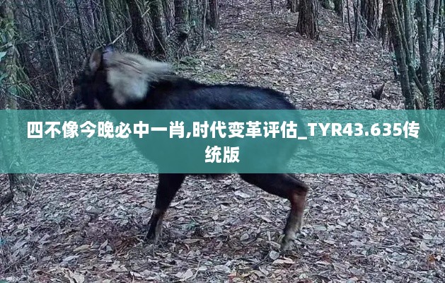 四不像今晚必中一肖,时代变革评估_TYR43.635传统版