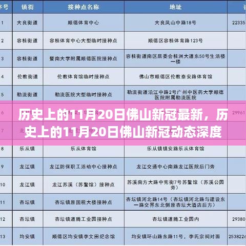 历史上的11月20日佛山新冠动态深度解析与观点探讨