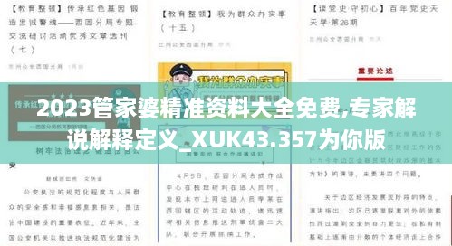 2023管家婆精准资料大全免费,专家解说解释定义_XUK43.357为你版