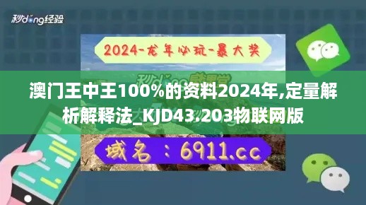 澳门王中王100%的资料2024年,定量解析解释法_KJD43.203物联网版