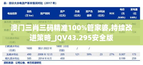 澳门三肖三码精准100%管家婆,持续改进策略_JQV43.295安全版