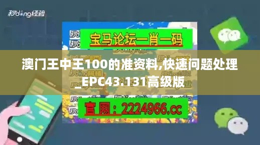 澳门王中王100的准资料,快速问题处理_EPC43.131高级版