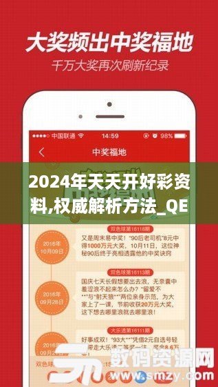 2024年天天开好彩资料,权威解析方法_QEG43.696百搭版