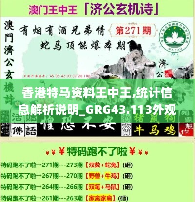 香港特马资料王中王,统计信息解析说明_GRG43.113外观版