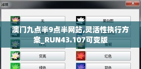 澳门九点半9点半网站,灵活性执行方案_RUN43.107可变版