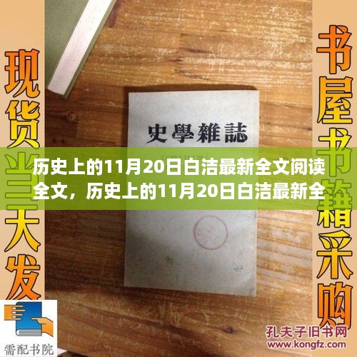 历史上的11月20日白洁最新全文阅读，产品评测与介绍全解析