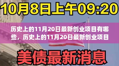 历史上的11月20日最新创业项目深度解析，特性、体验、竞争分析与目标用户群体剖析