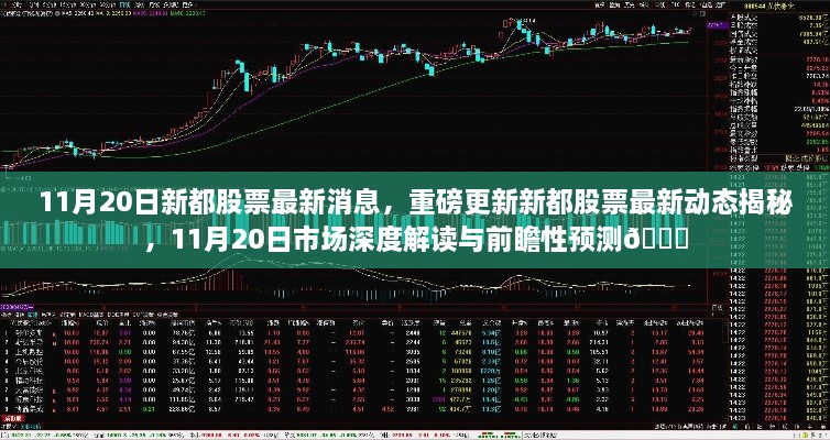 11月20日新都股票最新动态与市场深度解读，前瞻性预测揭秘🌟