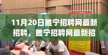 睢宁招聘网最新动态解析，聚焦行业热点与人才需求（11月20日更新）