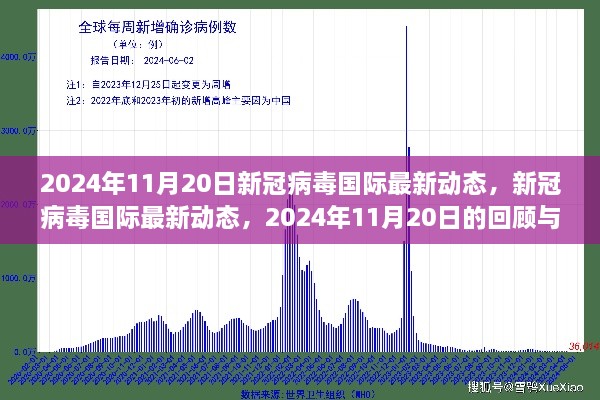 新冠病毒国际最新动态，2024年11月20日的回顾与影响分析